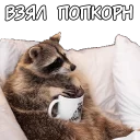 Sticker Енотий пак - 1