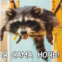 Sticker Енотий пак - 8