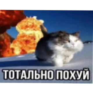 Sticker русик - 3