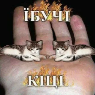 Sticker Українські меми - 8