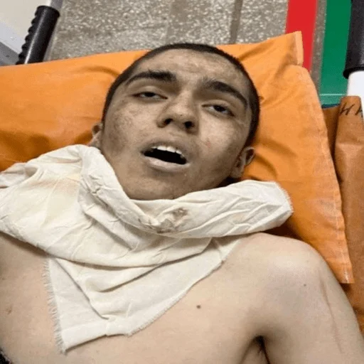 человеческое лицо Человек комнатный