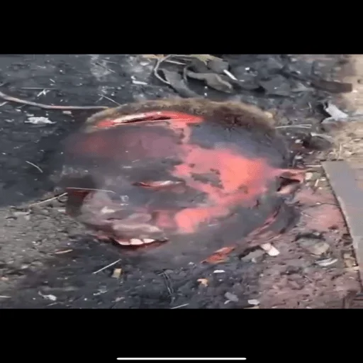 земля скриншот природа