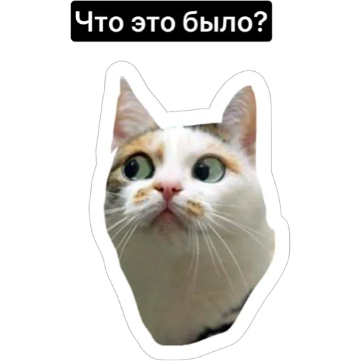 Sticker russian_kotiki - 1