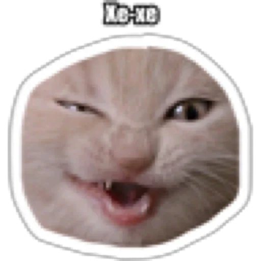 Стикер russian_kotiki - 1