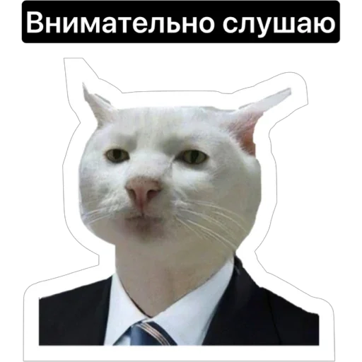 Sticker russian_kotiki - 1