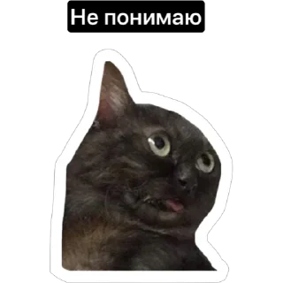 Стикер Смешные коты - 2