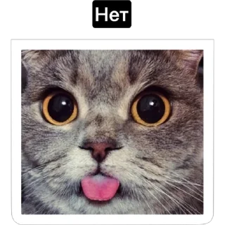 Стикер Смешные коты - 9