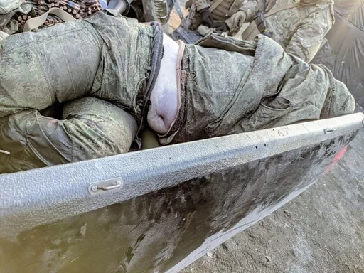 outdoor water mammal