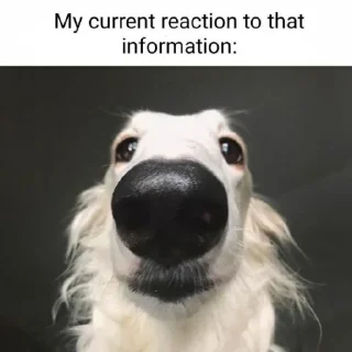 Sticker borzie🥺😭😭 - 5