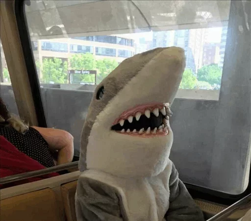 акула мягкоплавниковая рыба животное