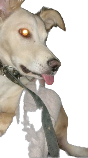 Sticker Фокси - 8