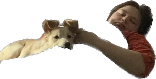 Sticker Фокси - 5