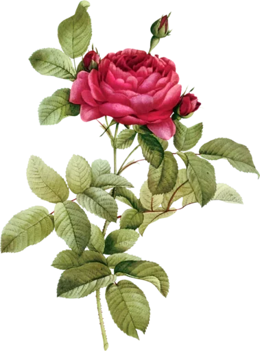 Стикер rvCIQJT_by_achestickbot - 1