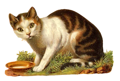 Стикер rvCIQJT_by_achestickbot - 1