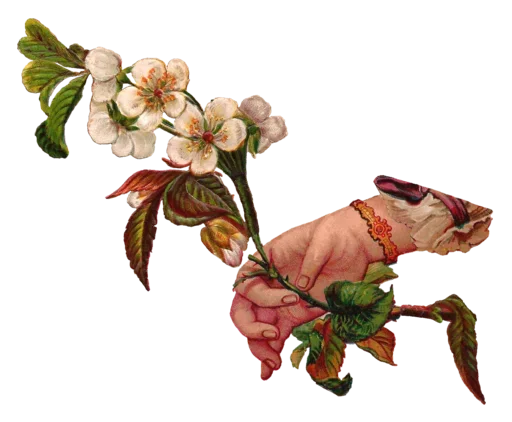 Стикер rvCIQJT_by_achestickbot - 1