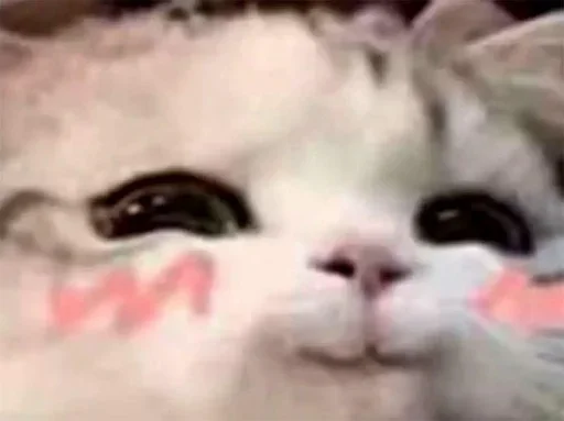 Sticker rvgELHbIgv_by_stickers_stealer_bot - 1