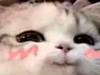 Sticker Больше стикеров: @sticerru - 8