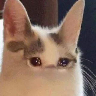 Sticker Больше стикеров: @sticerru - 1