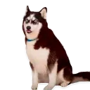 Стикер Rx3's - 3