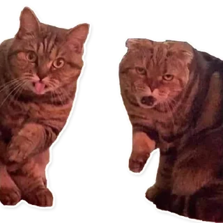 Стикер Rx3's - 0