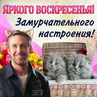 Sticker добрый Гослинг от @ryangoslingmem - 8