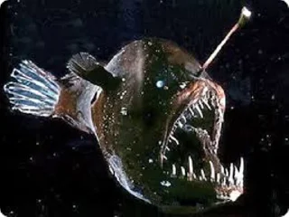 Стикер fish - 7