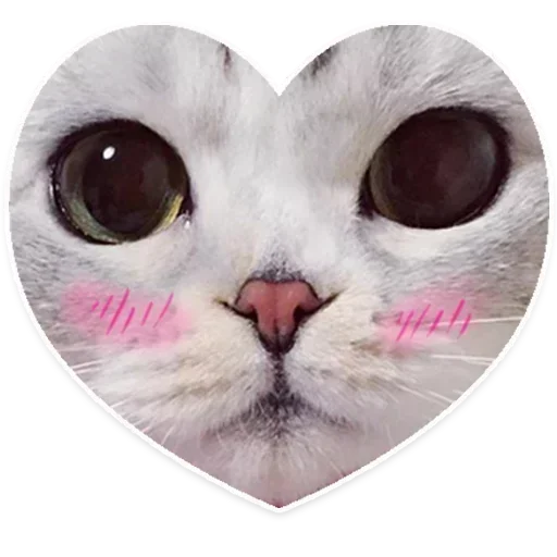 💕 Стики тут: @Stickersloving - 