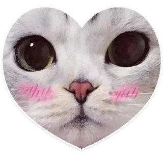 Стикер 💕 Стики тут: @Stickersloving - 8