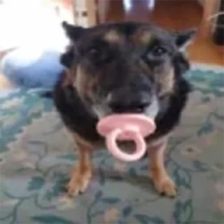 Sticker my honest reaction | by @elyadead - 9