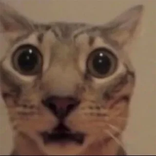 Sticker my honest reaction | by @elyadead - 8