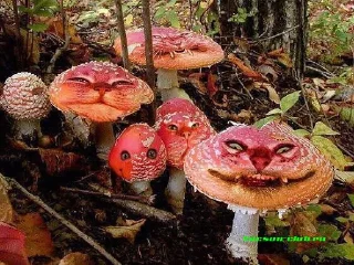 Стикер ВСЯКОЕ - 0