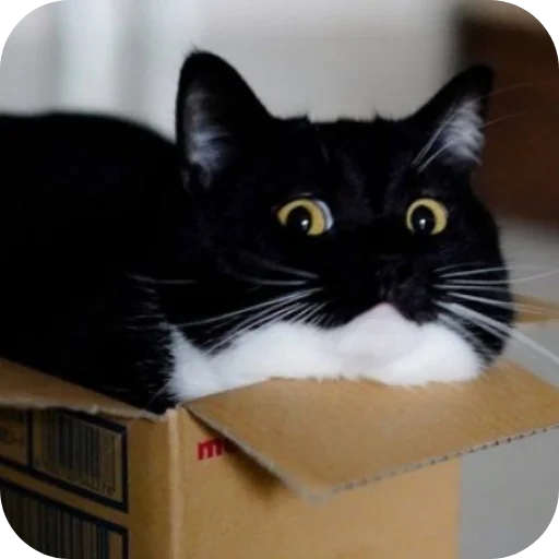 Sticker rzhaki32 - 1