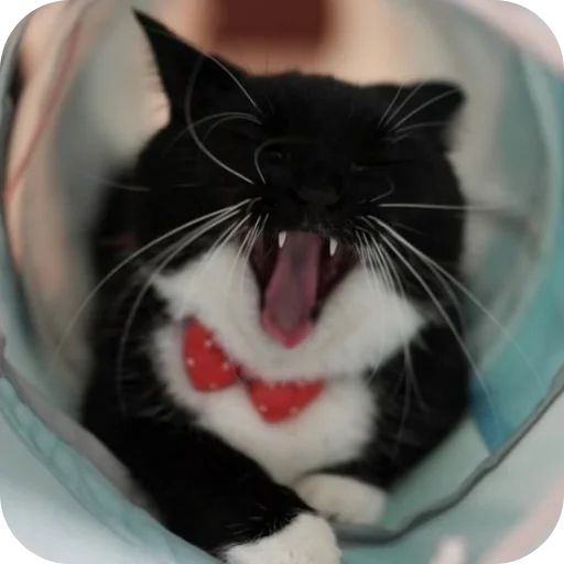 Sticker rzhaki32 - 1