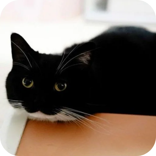 Sticker rzhaki32 - 1