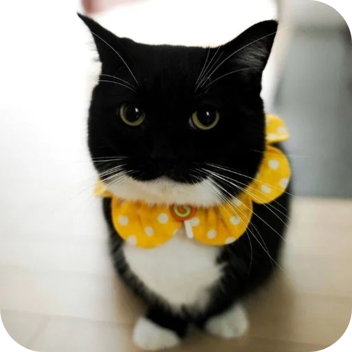 Sticker rzhaki32 - 1