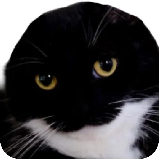 Стикер rzhaki32 - 1