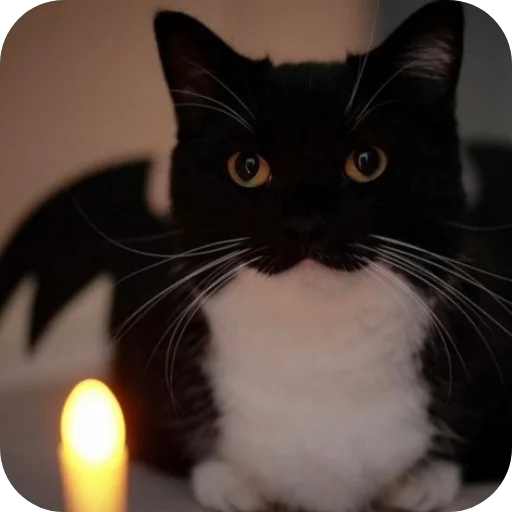 Sticker rzhaki32 - 1