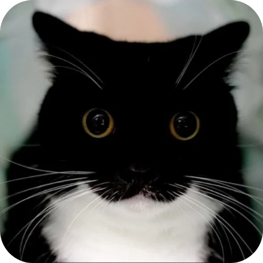 Стикер rzhaki32 - 1