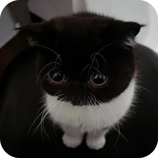 Sticker rzhaki32 - 1