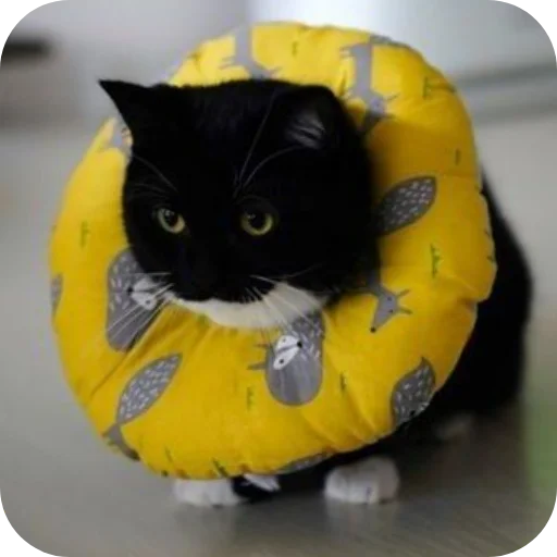 Sticker rzhaki32 - 1