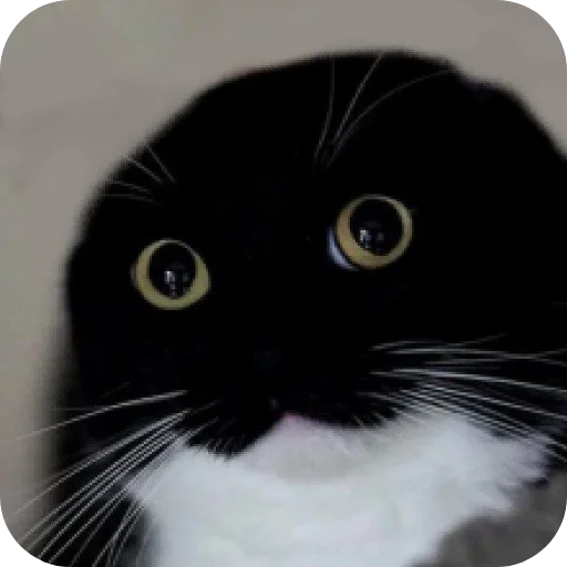 Sticker rzhaki32 - 1