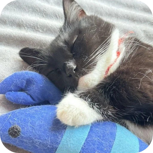 Sticker rzhaki32 - 1