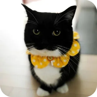 Sticker ФЫПОЖХЗГКЦФЫСМБЛДК - 8