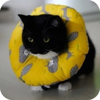 Sticker ФЫПОЖХЗГКЦФЫСМБЛДК - 2