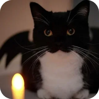 Sticker ФЫПОЖХЗГКЦФЫСМБЛДК - 6