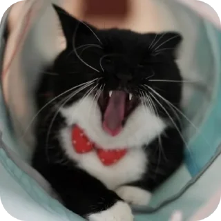 Sticker ФЫПОЖХЗГКЦФЫСМБЛДК - 10