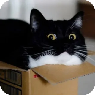 Sticker ФЫПОЖХЗГКЦФЫСМБЛДК - 11