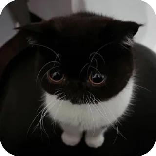 Sticker ФЫПОЖХЗГКЦФЫСМБЛДК - 3