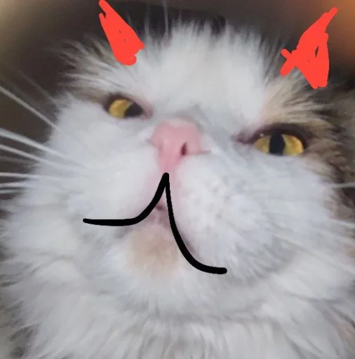 Стикер s0976ce1407b7599f9b3b16232a87461b_by_sozdat_stikery_bot - 1