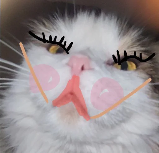 Стикер s0976ce1407b7599f9b3b16232a87461b_by_sozdat_stikery_bot - 1